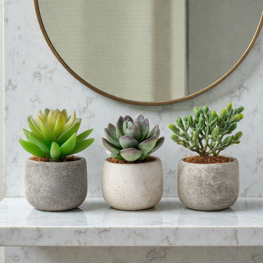 Alvessa Mini Artificial Succulents Set of 3 - Cement Pots